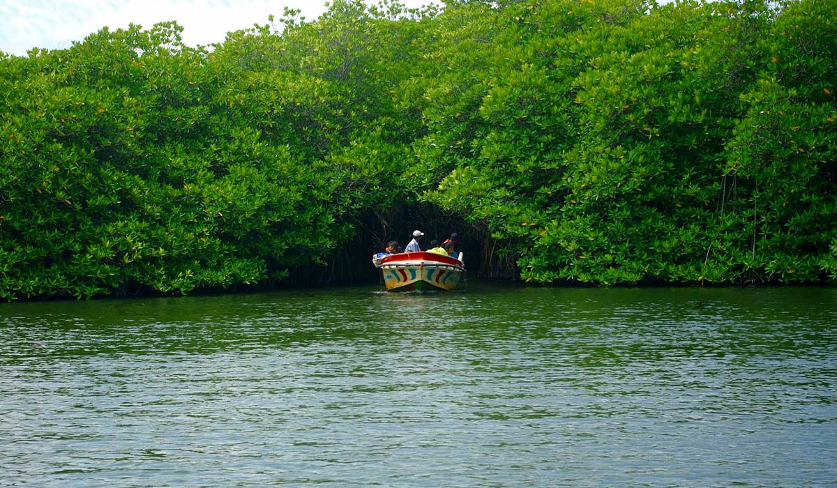 The 'Best of Sri Lanka' Express 5 Days Tour
